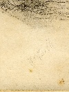  Head of a woman, pencil drawing on paper, napolitan school, late XIX century. - Picture 02