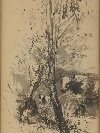Cardinale, disegno acquerellato di Attilio Simonetti (Roma 1843-1925). - Foto 03