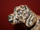 A superb big cold-painted Vienna bronze Labrador, beginning of xx century.
 - Picture 03