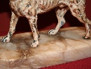 A superb big cold-painted Vienna bronze Labrador, beginning of xx century.
 - Picture 04