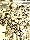 'Disputa tra arte e natura', incisione a bulino di Johann Friedrich Greuter (Strasburgo 1590/93-Roma 1662). - Foto 05