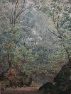 'Forest', watercolor on paper, signed C. Giorni, Italy, late nineteenth century. - Picture 01