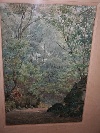 'Forest', watercolor on paper, signed C. Giorni, Italy, late nineteenth century. - Picture 02