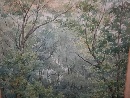 'Forest', watercolor on paper, signed C. Giorni, Italy, late nineteenth century. - Picture 03