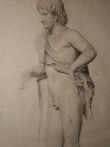 Apollo, charcoal pencil on white paper, Italian school, c. 1840. - Picture 03